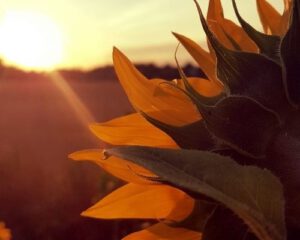 Zelfactualisatie is belangrijk Life coach Marko de Jong