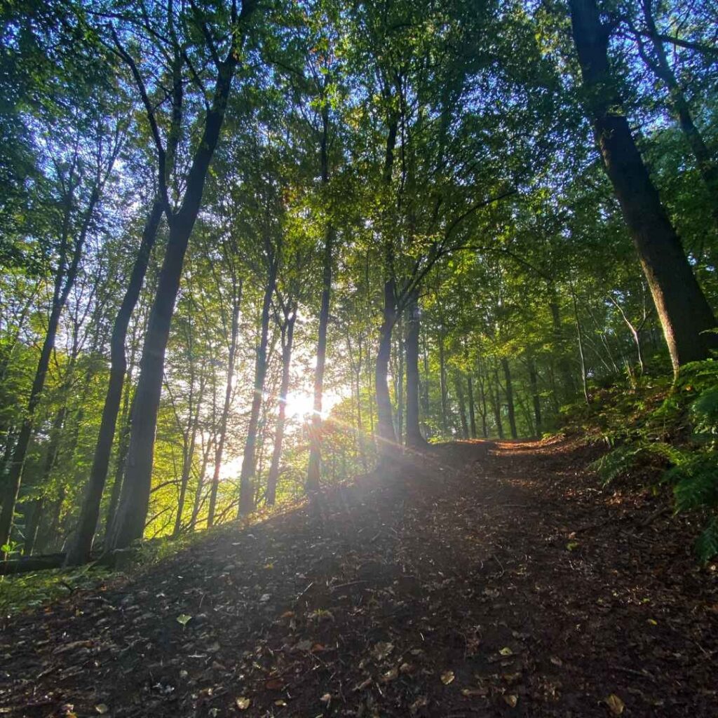 Mini aanbod krachtige zelfrealisatie 1 Mini aanbod Mindfulness Coach Marko de Jong