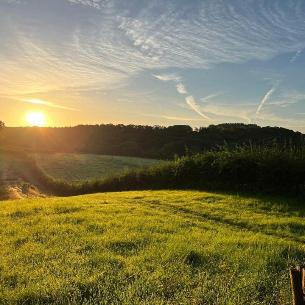 Mini aanbod krachtige zelfrealisatie 3 Mini aanbod Mindfulness Natuur