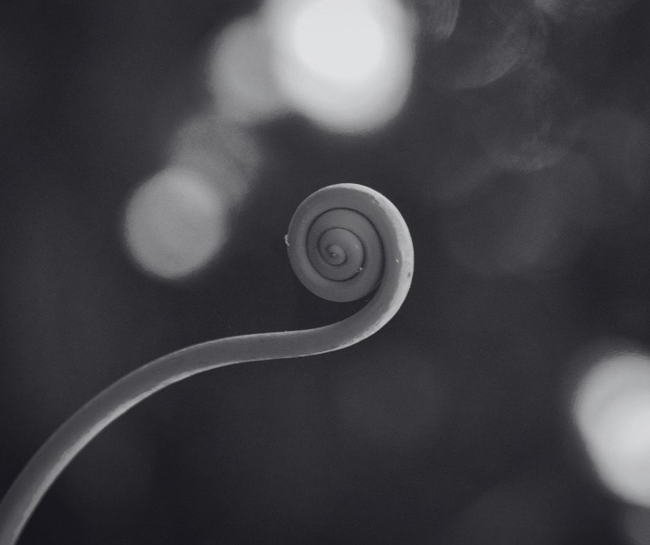 Coachtraject je ware potentieel Marko de Jong Coaching Limburg