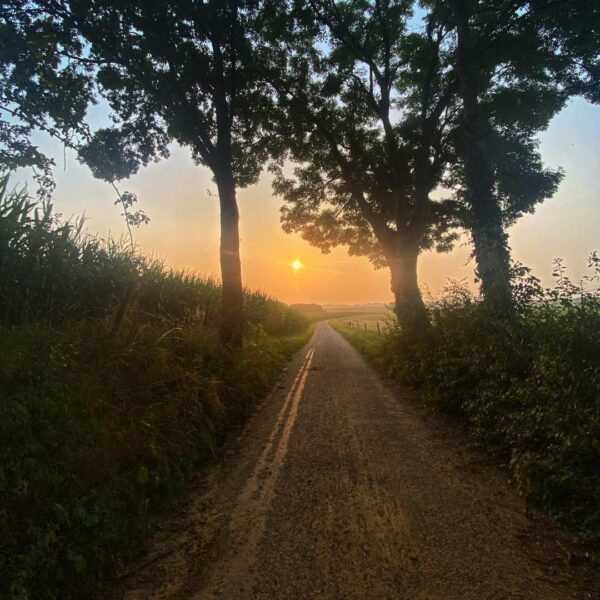 Mini aanbod wandelcoaching Limburg in de natuur