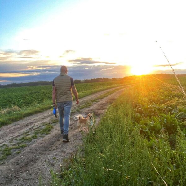 Mini aanbod wandelcoachsessie Limburg Marko de Jong Coaching