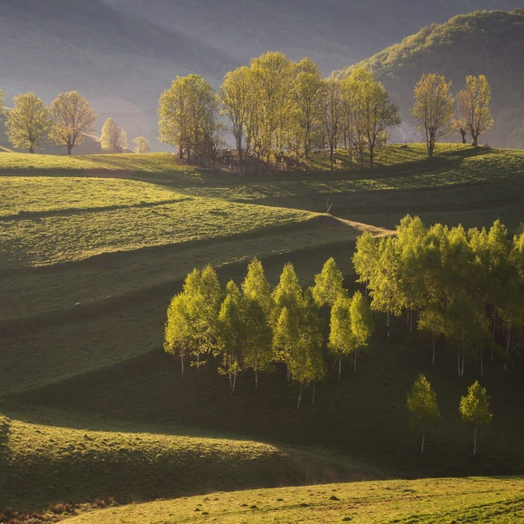 Transformatiecoaching als pad naar innerlijke vrijheid coaching Limburg